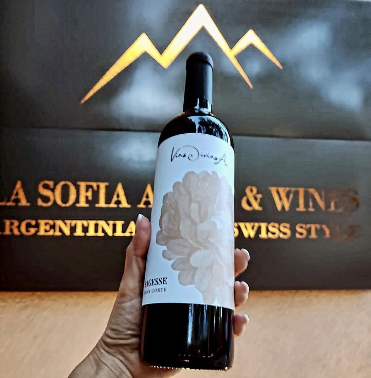 La Sofia Apart & Wines เมนโดซา ภายนอก รูปภาพ