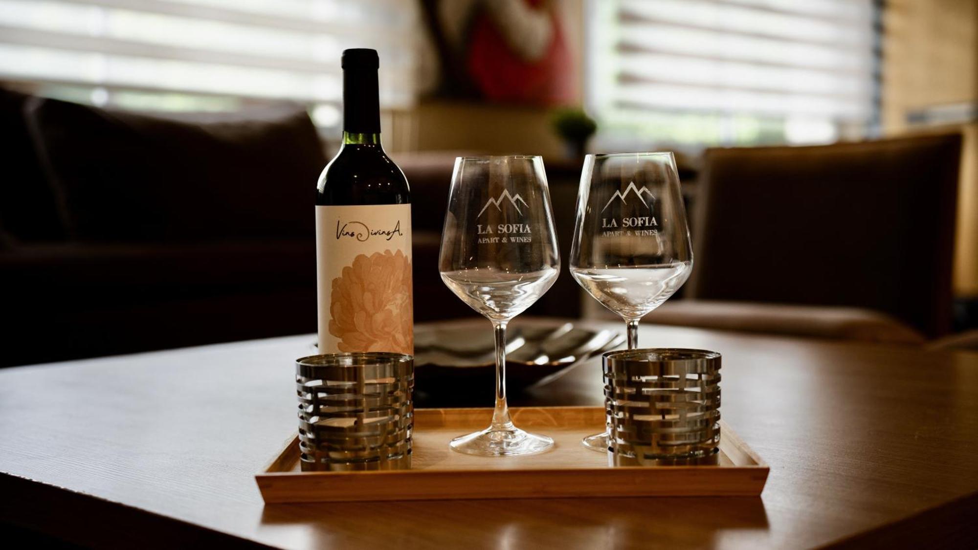 La Sofia Apart & Wines เมนโดซา ภายนอก รูปภาพ